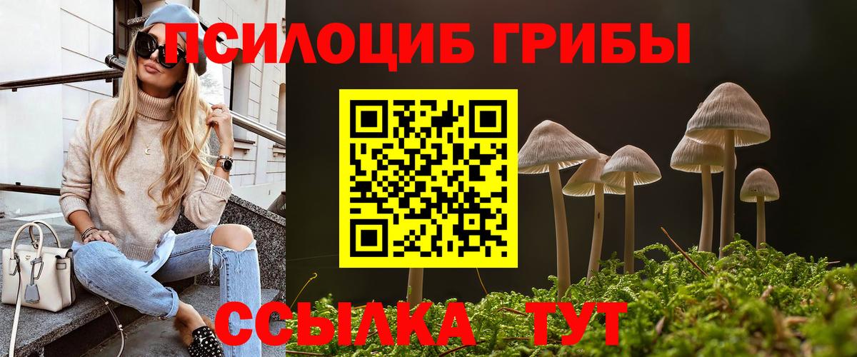 Псилоцибиновые грибы Magic Shrooms Вышний Волочёк